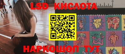 гидра Новодвинск