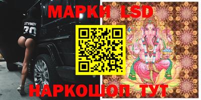 гидра Новодвинск
