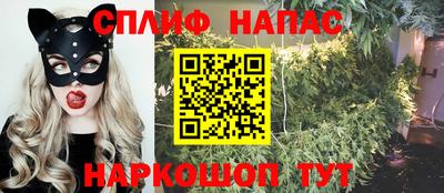 гидра Новодвинск
