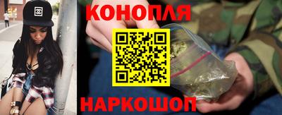 гидра Новодвинск