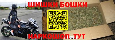 СК Новозыбков