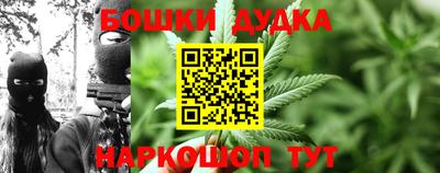 СК Новозыбков