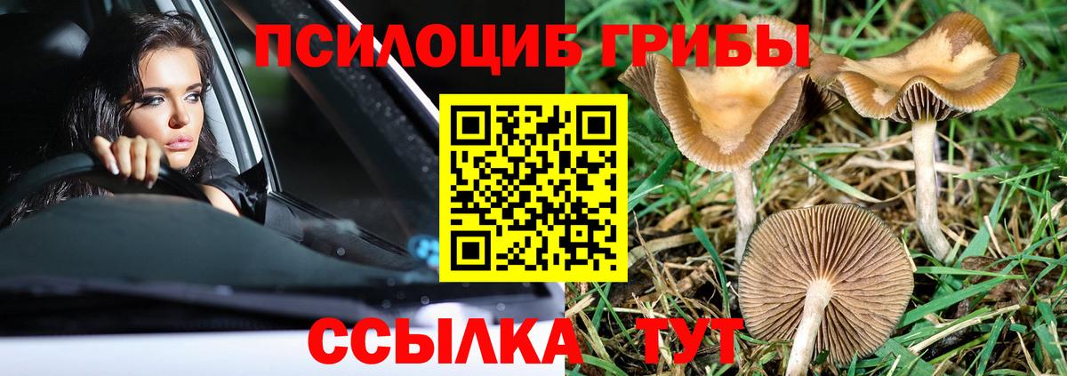 Галлюциногенные грибы MAGIC MUSHROOMS  Псилоцибиновые грибы Psilocybine cubensis  Вход с VPN  Ртищево 